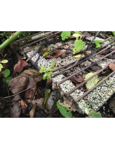 Barbacoa ecológica CASUSGRILL