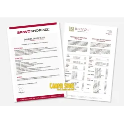 Snorkel Bravo para Man TGE / VW Crafter +2017